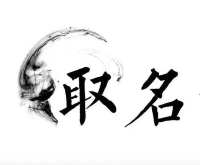  自贡宝宝取名 大师一对一人工起名